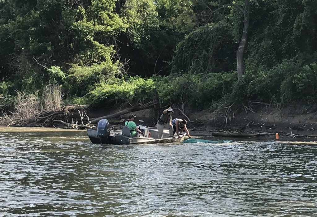 Setting a minifyke net on the Illinois River