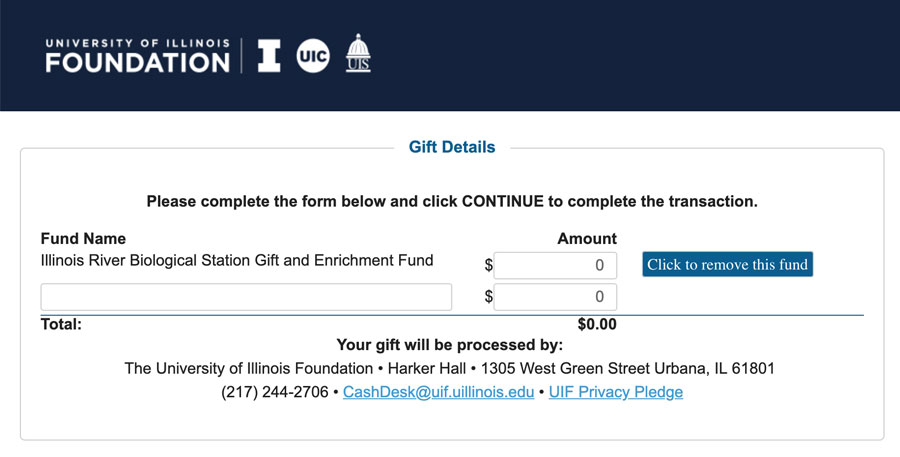 UI-Foundation-giving-form